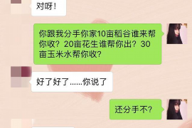 开平为什么选择专业追讨公司来处理您的债务纠纷？